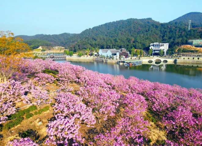 鴻業(yè)集團(tuán)鴻園花海歡迎您！